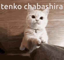 Tenko Chabashira Chabashira Tenko GIF - Tenko Chabashira Chabashira Tenko Danganronpa GIFs