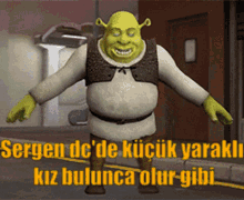 Sergen Shrek GIF - Sergen Shrek Dc Meme GIFs