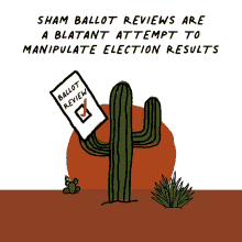 sham ballot reviews undermine democracy elections election night results election results