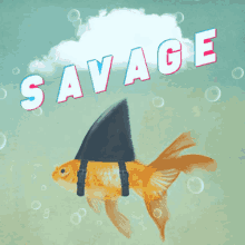 Savage Goldfish GIF - Savage Goldfish Shark GIFs