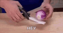 Clever Cutter Onion GIF - Clever Cutter Onion Knife GIFs