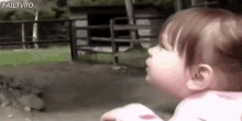 Right In The Face! GIF - Horse Sneeze Kid GIFs