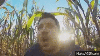 horrified-corn-maze.gif