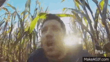 horrified corn maze corn scared