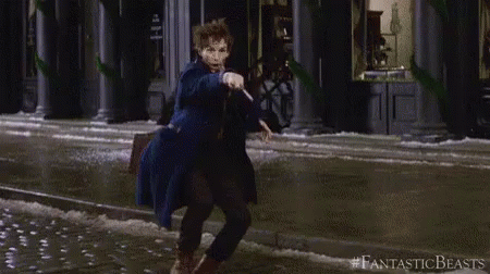 Fantastic Beasts GIF - Fantastic Beasts Fantastic Beasts And Where To Find Them Wand GIFs