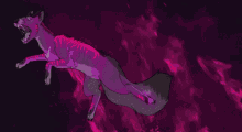 fury fury