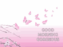 Good Morning Gorgeous GIF - Good Morning Gorgeous Butterflies GIFs