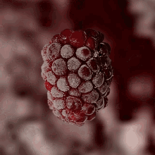 Himbeere Raspberry GIF - Himbeere Raspberry Fruit GIFs