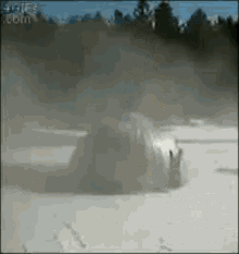 Silentgift The Realness GIF - Silentgift The Realness Tr GIFs