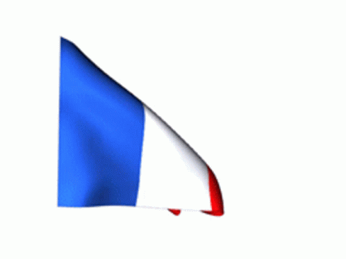Fark France GIF - Fark France - Descubre & Comparte GIFs