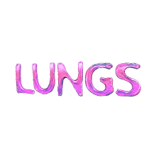 more lungs
