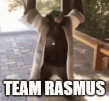Rasmus Team Rasmus GIF - Rasmus Team Rasmus GIFs