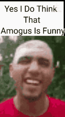 amogus among us among us meme amogus meme not funny