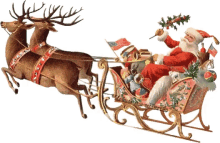 sleigh reindeer