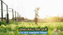 h%E1%BB%99i an hoi an tra que quang nam h%E1%BB%99i an hoi an tra que quang nam