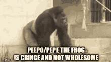 peepo pepe pepe the frog peepo the frog gorilla