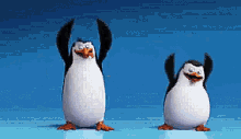 Penguins Madagascar GIF - Penguins Madagascar GIFs