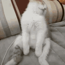 Exhausted Tired GIF - Exhausted Tired Wake GIFs