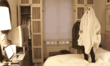 Sheets Ghost GIF - Sheets Ghost Costume GIFs