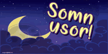 night usor