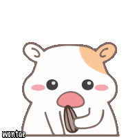 Wontae Hamster Sticker - Wontae Hamster Eating Stickers