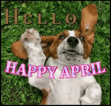 April Happy April GIF - April Happy April Hello April GIFs