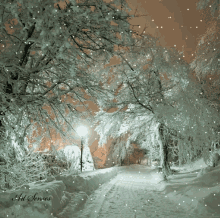 snow winter