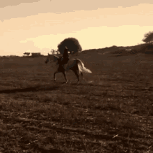 Horseback Riding Lux Lyall GIF - Horseback Riding Lux Lyall Gun Metal Horses GIFs