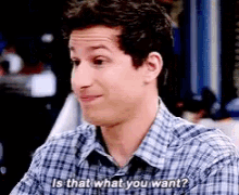 B99 Jake Peralta GIF - B99 Jake Peralta Is That What You Want GIFs