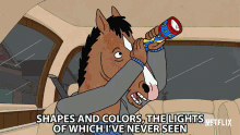 Shapes And Colors The Lights Of Which Ive Never Seen Bojack GIF - Shapes And Colors The Lights Of Which Ive Never Seen Bojack Will Arnett GIFs