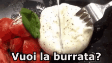Burrata Formaggio Stracciatella Puglia Cibo GIF - Burrata Italian Cheese Stracciatella GIFs