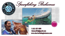Spearfishing Bahamas Fishing Charters Bahamas GIF - Spearfishing Bahamas Fishing Charters Bahamas Spearfishing Charters Bahamas GIFs