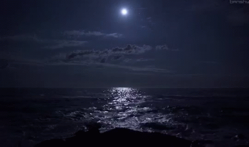 Night Moon GIF - Night Moon Beach GIFs