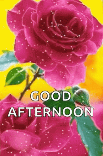 Good Afternoon Gif Good Afternoon Good Afternoon Discover Share Gifs