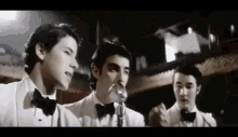 Jonas Brothers Love Bug GIF - Jonas Brothers Love Bug GIFs