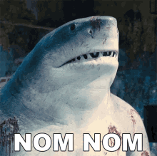 Nom Nom King Shark GIF - Nom Nom King Shark The Suicide Squad GIFs