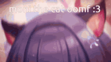 Rinze Cat Oomf GIF - Rinze Cat Oomf GIFs