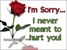 Sorry Rose GIF - Sorry Rose Never Meant Hurt You GIFs