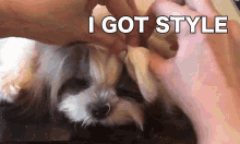 Styling Is Fun The Real Paningning GIF - Styling Is Fun The Real Paningning Paningning GIFs