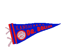 Kansas Votes Early For Dr Bollier Pennant Sticker - Kansas Votes Early For Dr Bollier Pennant Dr Barbra Bollier Stickers
