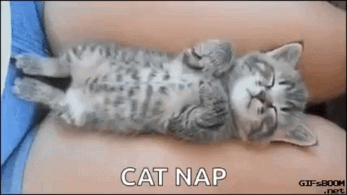 dream-cat-nap.gif
