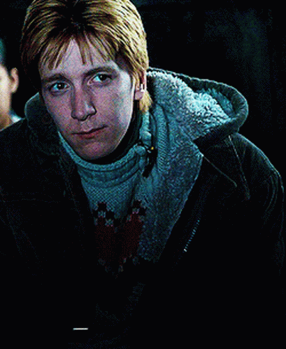 Weasley Harry Potter GIF - Weasley Harry Potter - Discover & Share GIFs