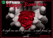 Happy Rose Day Gifkaro GIF - Happy Rose Day Gifkaro A Day Of Giving Roses GIFs