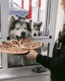 doggo treats doggos dog dogs doggo treats doggos dog dogs