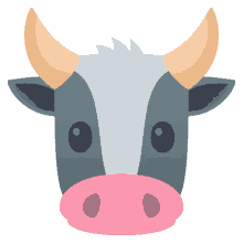 cattle cow