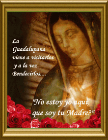 Virgin Mary Virgen De Guadalupe GIF - Virgin Mary Virgen De Guadalupe Mary GIFs