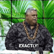 exactly laauli samoa exactly laauli samoa