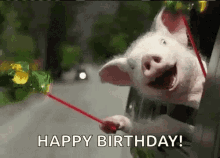 pig happy birthday car