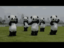 Dancing Pandas GIF - Pandas Dancing Dancing Pandas GIFs