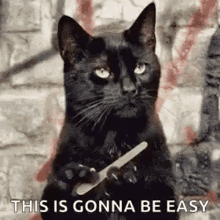 Thi Is Gonna Be Easy Black Cat GIF - Thi Is Gonna Be Easy Black Cat Nail File GIFs